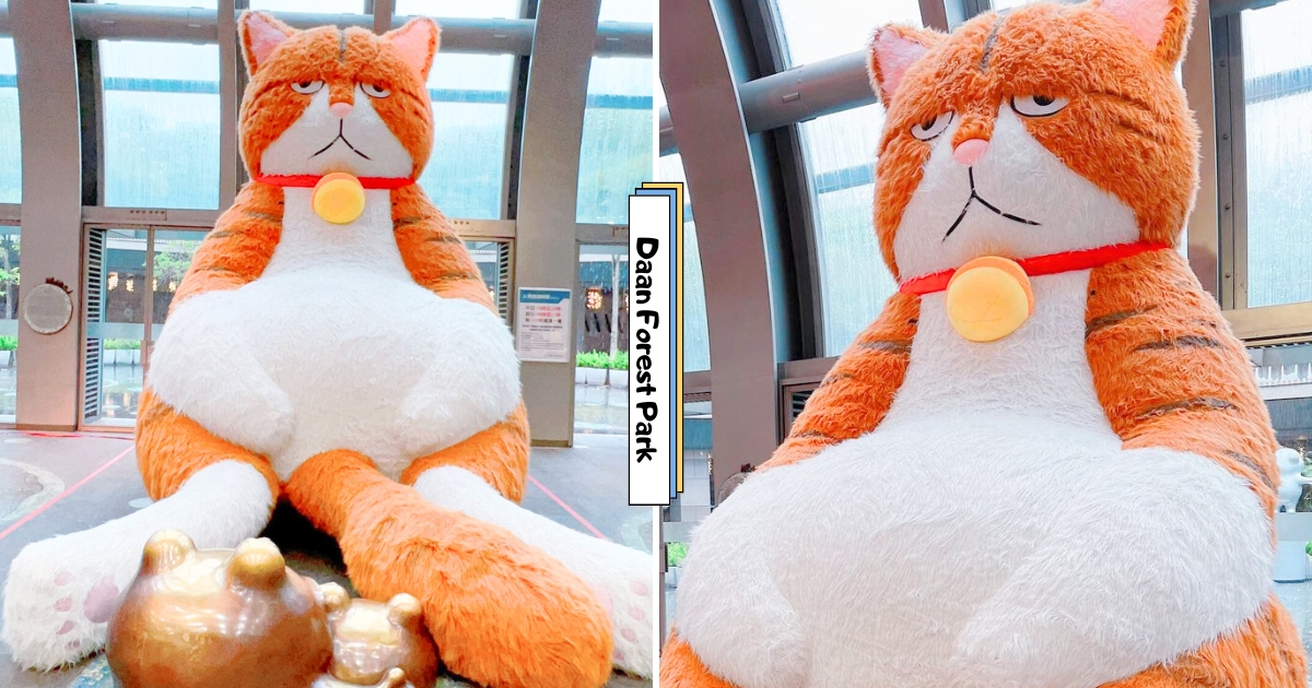 【Taipei】Calling all cat lovers! A ‘3-meter tall orange cat’ has appeared in Dann Forest Park. Its grumpy face and chubby belly are off-the-charts adorable!